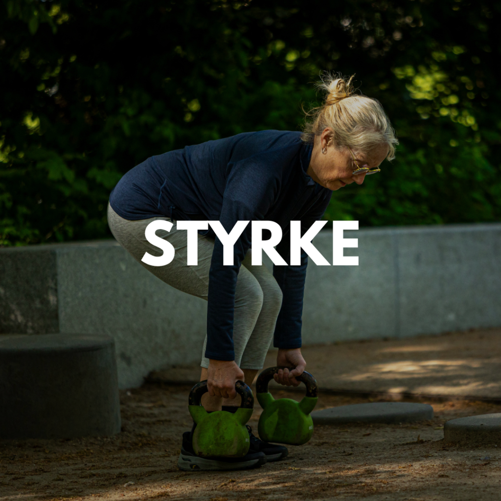Udendørs styrketræning Søndermarken, Frederiksberg Fysio Camp
