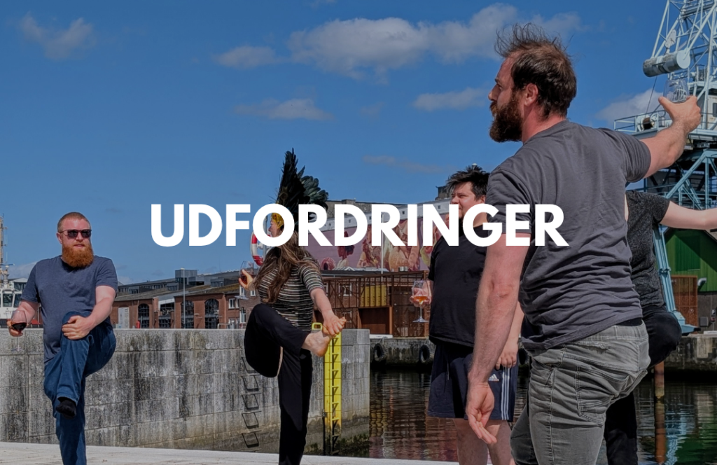 Polterabend Vinyoga i Aarhus