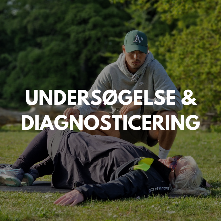 Fysioterapeutisk Undersøgelse & Diagnosticering