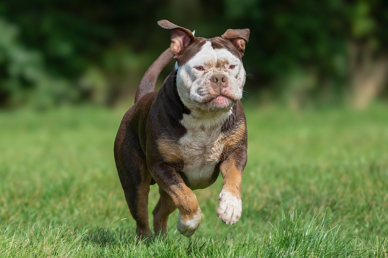 fitness hillerød illustration