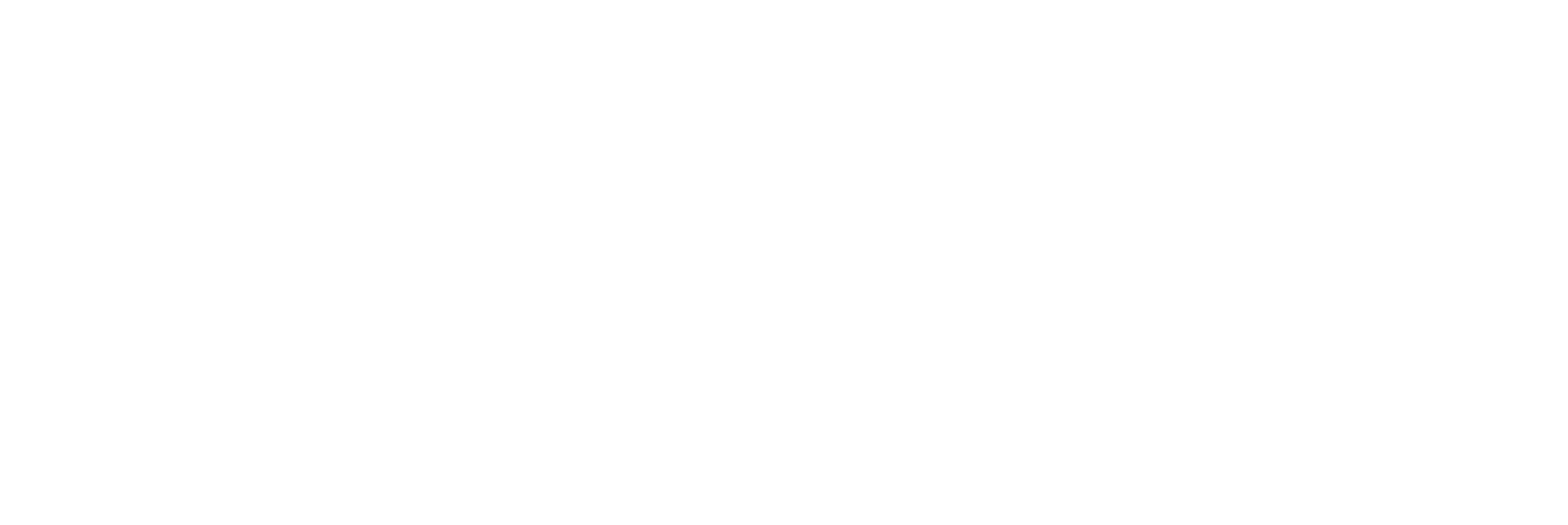 Fysio Logo