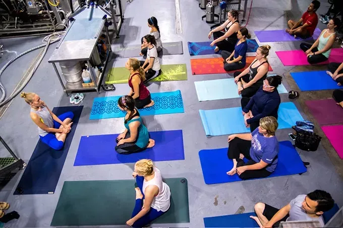 Beer Yoga 7
