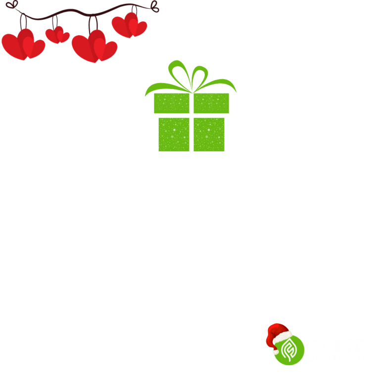 fysio bootcamp gavekort jul